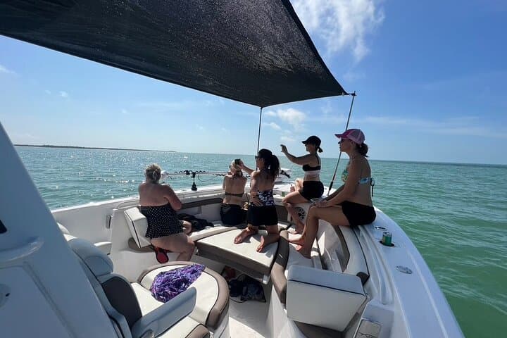 Exploring Marco Island's Hidden Shores: A 3-Hour Shelling Safari photo 4