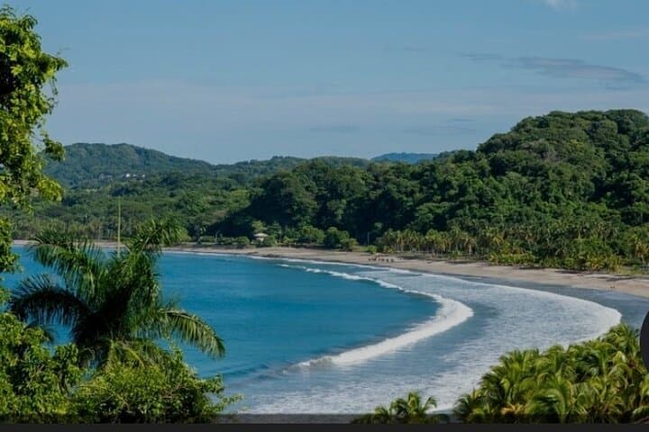 Tamarindo Whale Watching & Snorkel Tour — Humpbacks, Dolphins and Coastal Reefs photo 4