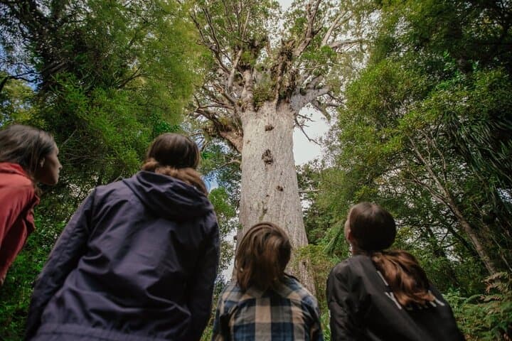 Bay of Islands 2-Day Cruise & Small-Group Tour from Auckland photo 2