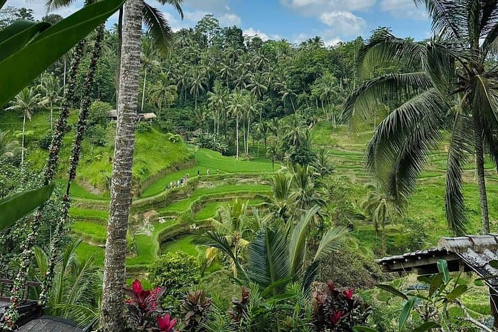 Ubud Hidden Wonders: A Day of Waterfalls, Temples & Rice Terraces photo 2