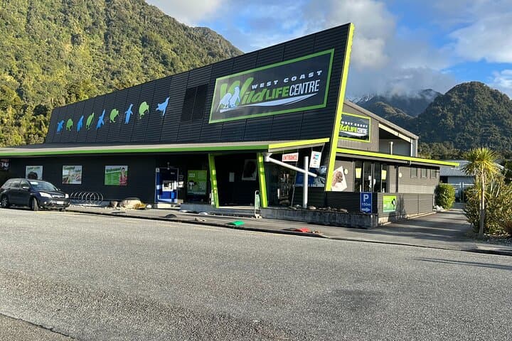 Franz Josef Wildlife Centre: Kiwi, Tuatara & Penguin Encounters photo 6