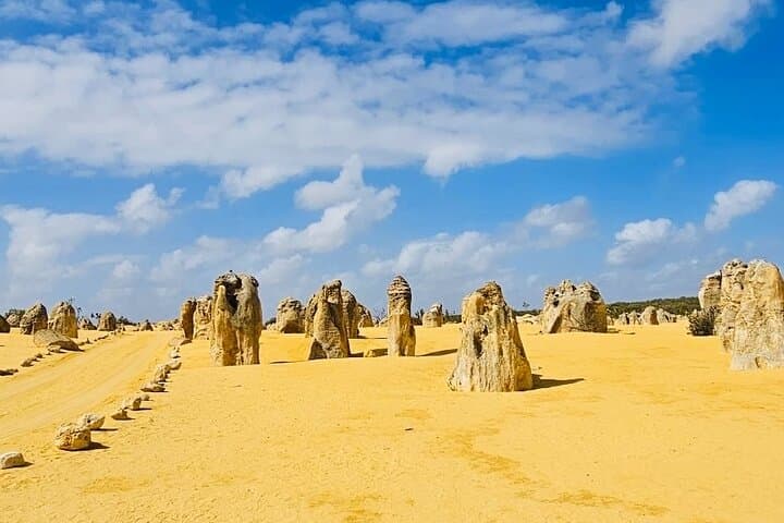 4WD Pinnacles Desert & Turquoise Coast Day Tour — Sandboarding at Lancelin