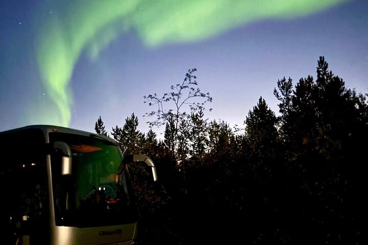 Aurora Chase by Bus: Northern Lights Tour from Alta photo 2