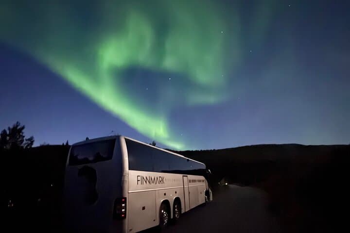 Aurora Chase by Bus: Northern Lights Tour from Alta photo 3