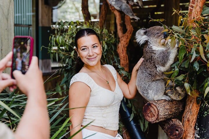 Jervis Bay Day Trip from Sydney: Beaches, Koalas & Coastal Sights photo 2