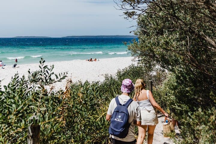 Jervis Bay Day Trip from Sydney: Beaches, Koalas & Coastal Sights