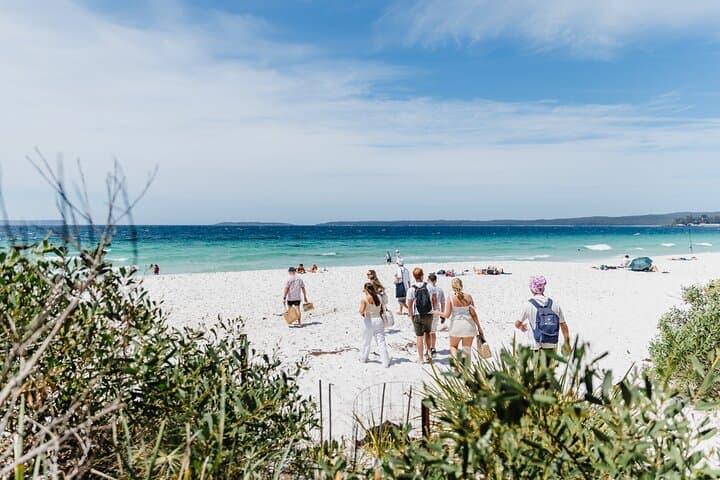 Jervis Bay Day Trip from Sydney: Beaches, Koalas & Coastal Sights photo 5