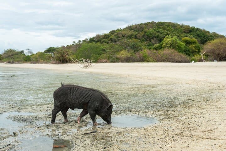 Private Shore Tour to Koh Samui's Secret Islands: Snorkel Koh Mudsum & Koh Tan photo 2