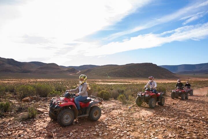 Full-Day Aquila Big 5 Safari from Cape Town — Private Game Reserve Experience photo 4