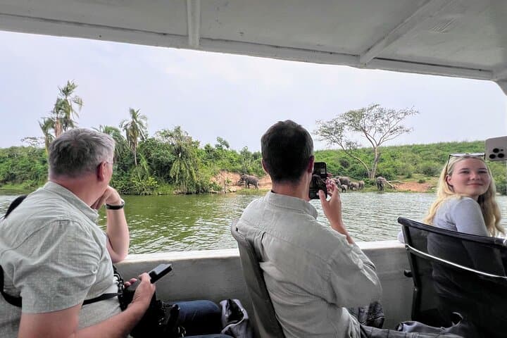 22-Day Gorillas, Chimps & Great Migration: Multi-Country Safari and Hiking Adventure