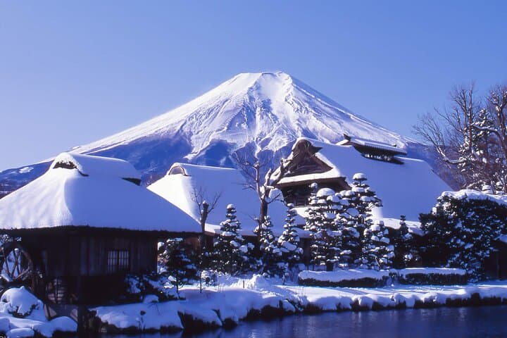 Mount Fuji Panoramic Day Trip from Tokyo: Kawaguchiko, Chureito Pagoda & Oshino Hakkai photo 2