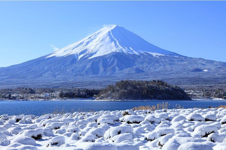 Mount Fuji Panoramic Day Trip from Tokyo: Kawaguchiko, Chureito Pagoda & Oshino Hakkai photo 3