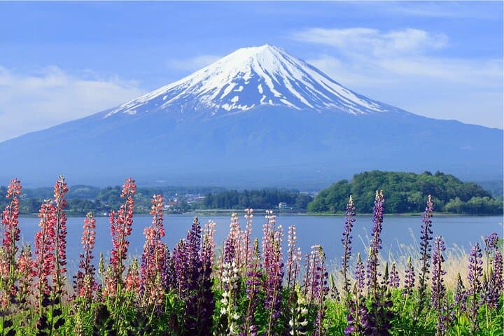 Mount Fuji Panoramic Day Trip from Tokyo: Kawaguchiko, Chureito Pagoda & Oshino Hakkai photo 4