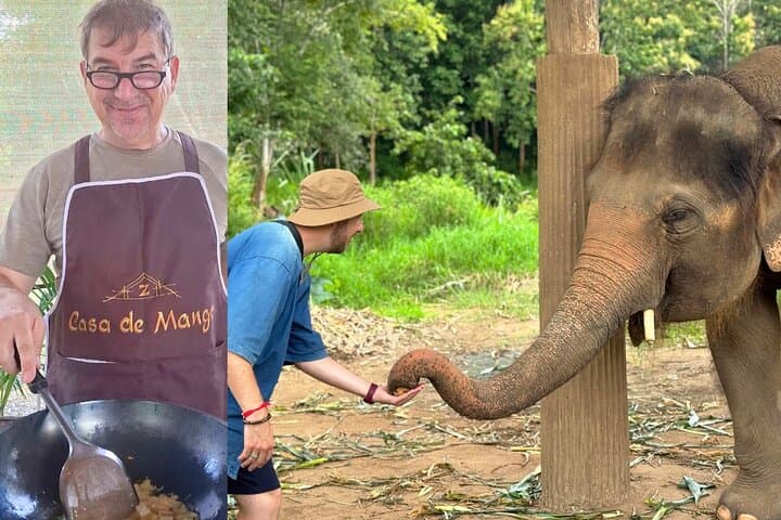 From Market to Forest: Chiang Mai Thai Cooking Class & Ethical Elephant Sanctuary