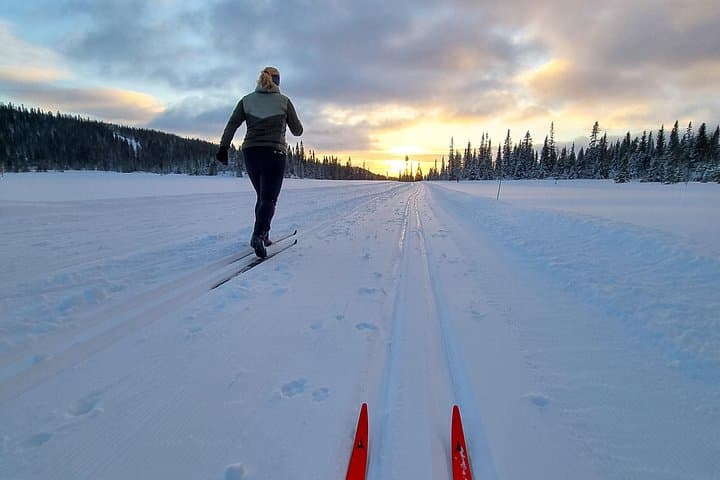 Private Cross-Country Ski Lesson in Åre — Master Nordic Technique on Groomed Trails photo 4