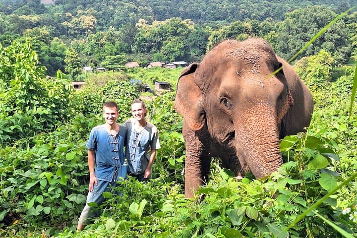 From Market to Forest: Chiang Mai Thai Cooking Class & Ethical Elephant Sanctuary photo 6