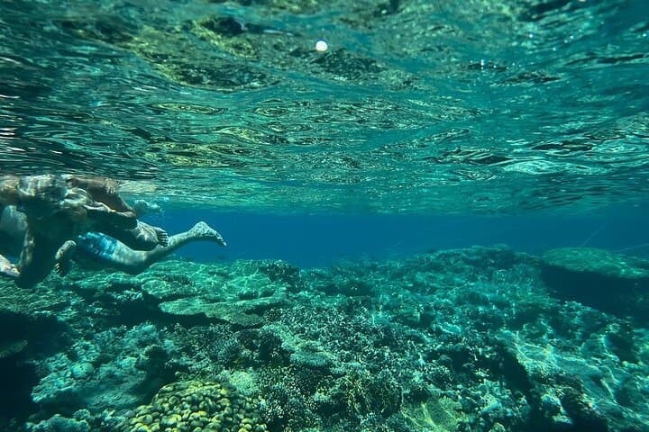 Red Sea Snorkeling: Ras Mohamed & White Island Full-Day Cruise photo 4