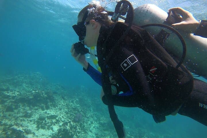 Hurghada Dolphin House Full-Day Snorkeling Cruise with Buffet Lunch photo 2