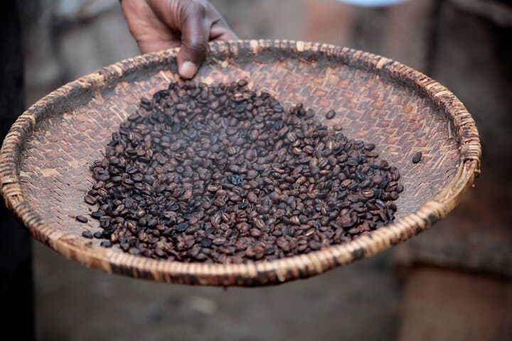 Authentic Arusha Coffee Experience: Farm Tour & Tasting Near Mount Meru photo 3