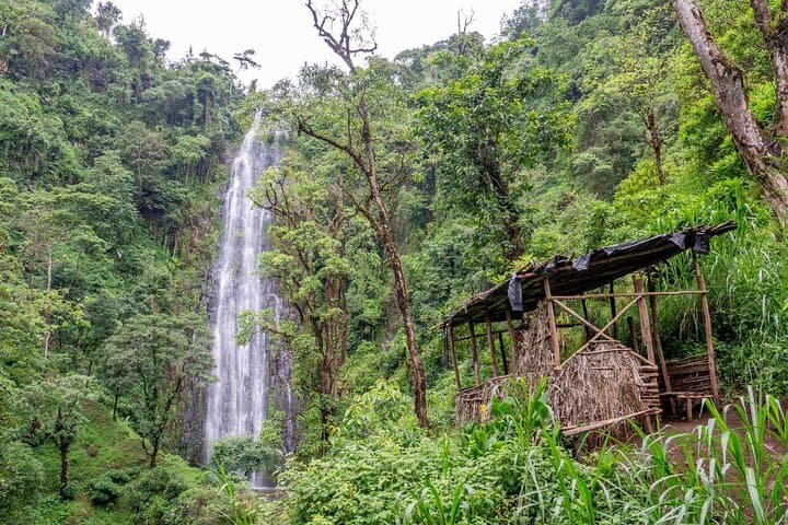 Materuni Waterfall Hike and Authentic Chagga Coffee Experience Near Kilimanjaro photo 6