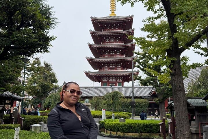 Private Tokyo Tour: Customize Culture, Cuisine & Landmarks in One Day photo 5