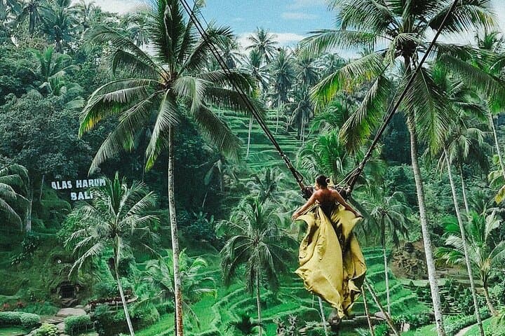 Full-Day Ubud Tour: Bali Swing, Monkey Forest, Tegalalang & Twin Waterfalls