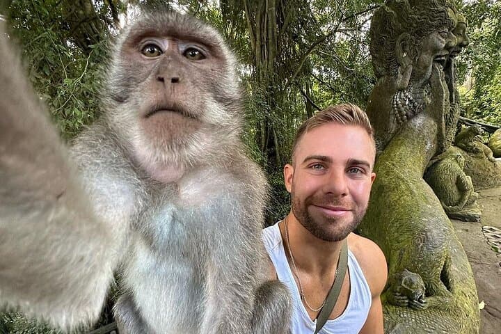 Full-Day Ubud Tour: Bali Swing, Monkey Forest, Tegalalang & Twin Waterfalls photo 3