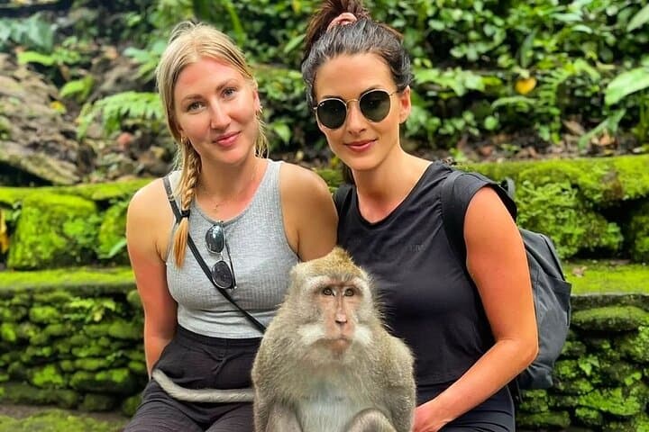 Full-Day Ubud Tour: Bali Swing, Monkey Forest, Tegalalang & Twin Waterfalls photo 4