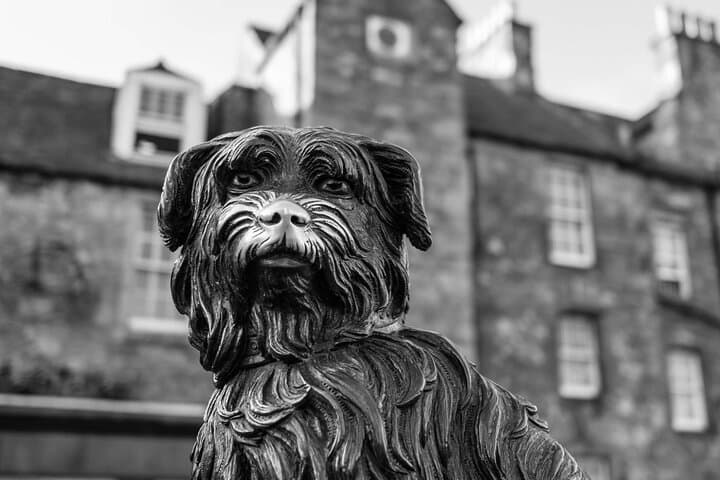 Edinburgh Old Town Icons: Small-Group Photography Walk photo 3