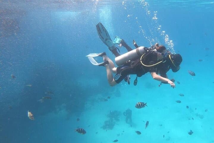 Dolphin House Discovery: Full-Day Snorkeling Cruise from Hurghada photo 3