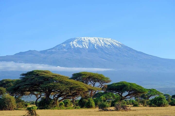 Private Day Safari to Amboseli National Park — Kilimanjaro Views & Big-Game Drives photo 5