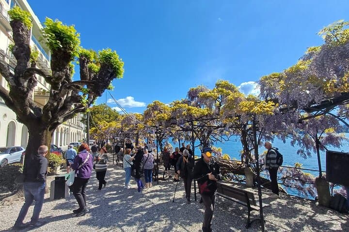 Exploring Lake Como and Lugano: A Seamless Day Trip from Milan photo 5
