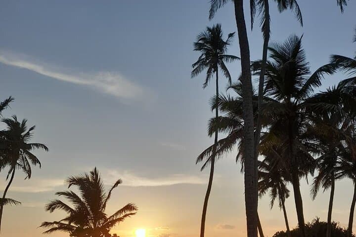 6-day-sri-lanka-tour-colombo-sigiriya-kandy-beaches