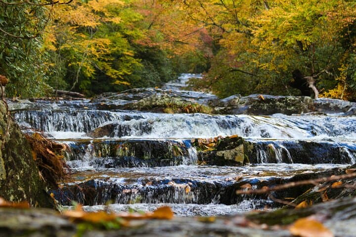 Great Smoky Mountains Self-Guided Scenic Drive & Audio Tour photo 5