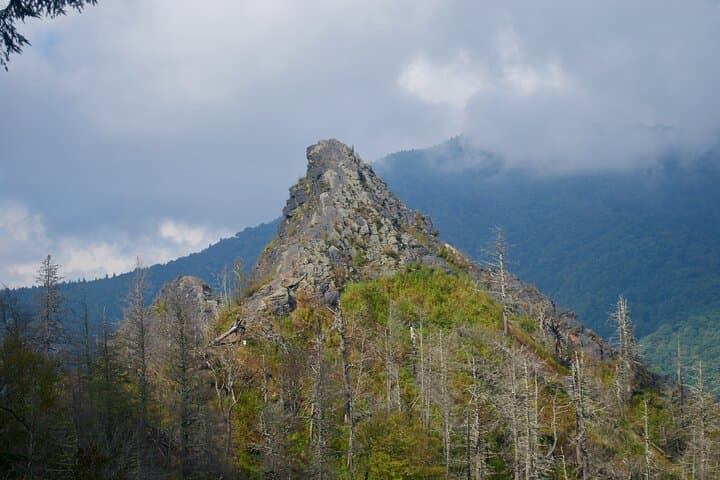 Great Smoky Mountains Self-Guided Scenic Drive & Audio Tour photo 6