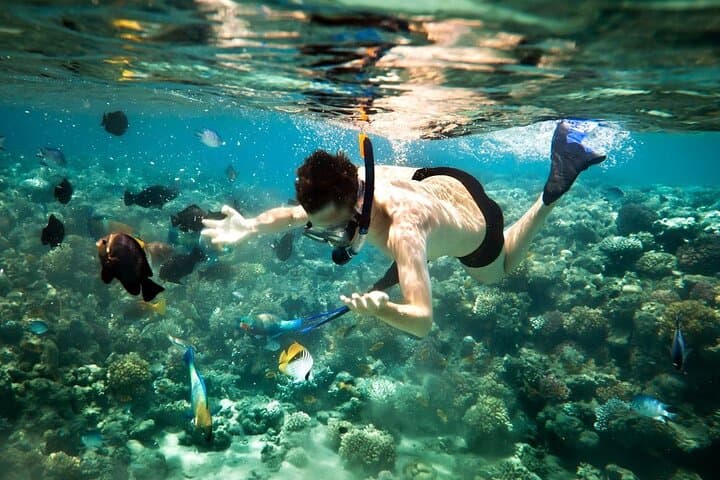 Hurghada Dolphin House Full-Day Snorkeling Cruise with Buffet Lunch photo 4