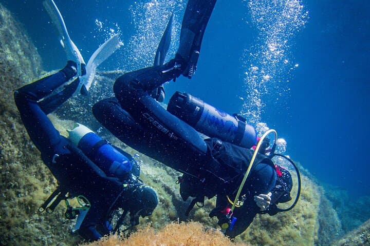 Scuba diving La Maddalena & Lavezzi: certified dives in Sardinia's marine park photo 2