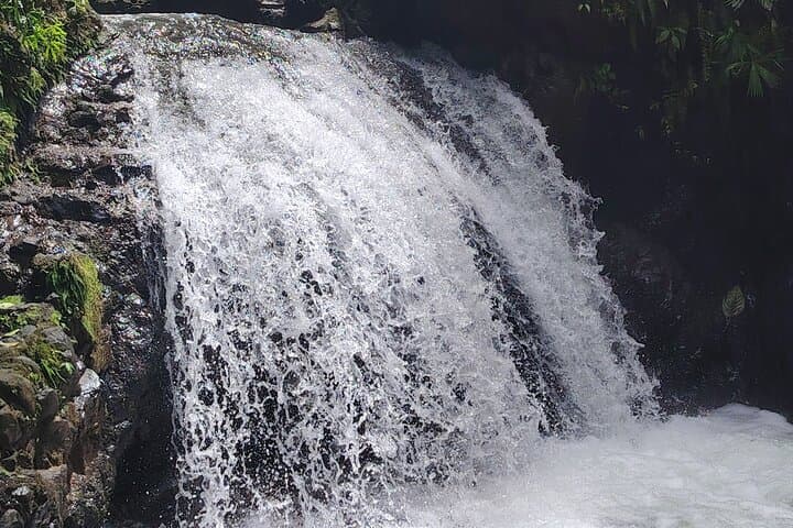 Jaco Waterfall Circuit: 3 Cascades, Natural Pools & Wood-Fired Lunch photo 4