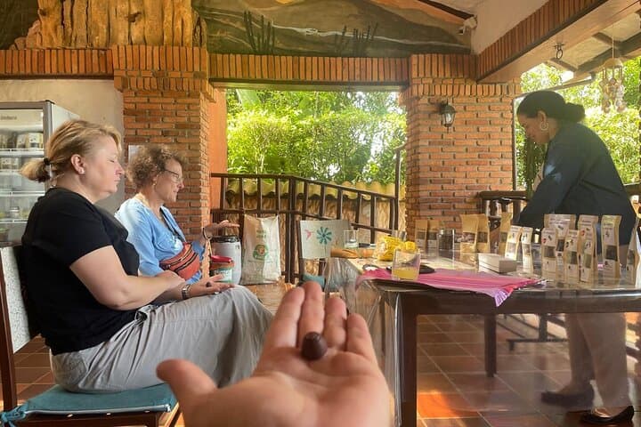 Private Cacao Farm Tour in Santander: Ruitoque Chocolate Experience photo 6