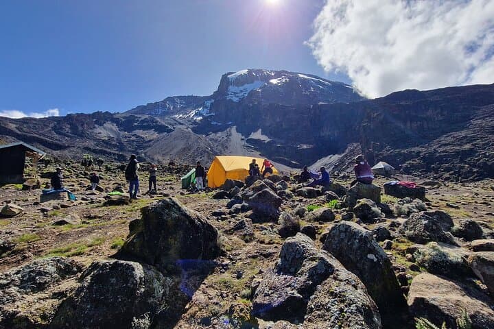 Lemosho Route: 9-Day Trek to Mount Kilimanjaro's Uhuru Peak