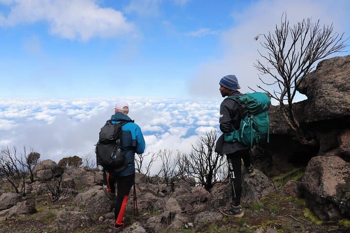 Lemosho Route: 9-Day Trek to Mount Kilimanjaro's Uhuru Peak photo 2