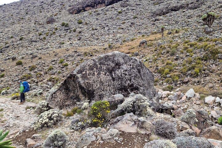 Lemosho Route: 9-Day Trek to Mount Kilimanjaro's Uhuru Peak photo 4