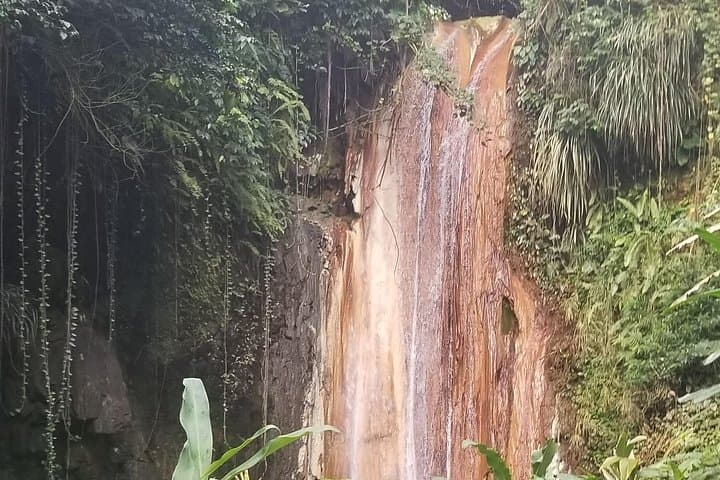 Soufrière Botanical Garden Exploration: Guided Tropical Plant Walk in Saint Lucia photo 3