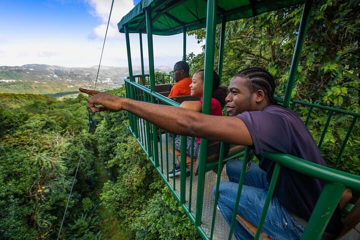 St Lucia Ultimate 3: Aerial Tram, Zipline & Rainforest Hike at Rainforest Adventures