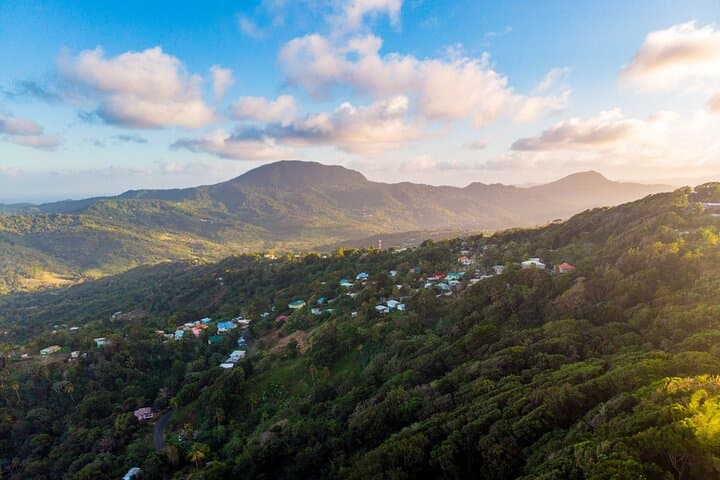 Jacquot Trail Rainforest Hike — Guided Nature Walk near Castries, St. Lucia photo 6