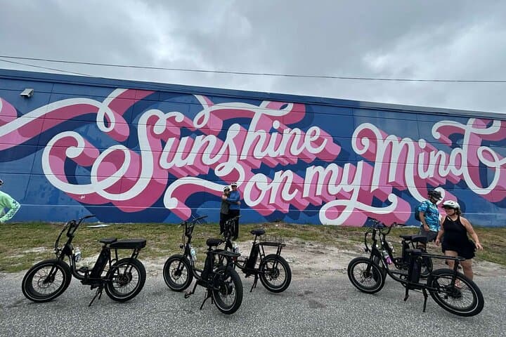 E-Bike Guided Tour Downtown St. Pete — Waterfront Sights, Murals & the Dali Museum photo 4