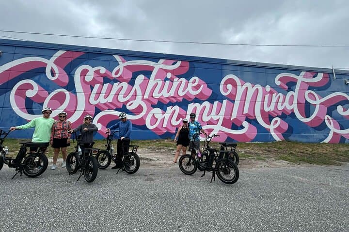 E-Bike Guided Tour Downtown St. Pete — Waterfront Sights, Murals & the Dali Museum photo 3