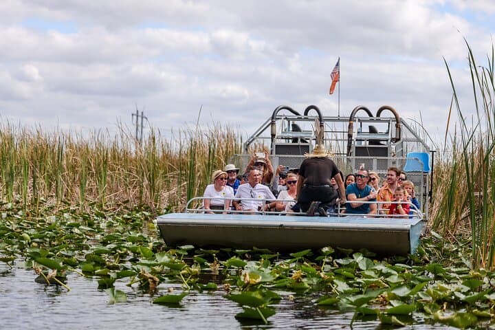 Everglades Express from Miami: Airboat Safari & Wildlife at Everglades Safari Park photo 6
