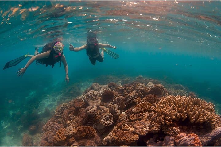 Private Yacht Charter in Los Cabos — Snorkeling, Beaches & Paddleboarding photo 5