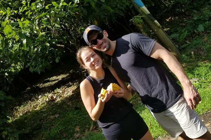 Soufrière Private Chocolate Tour: Bean-to-Bar Experience in St. Lucia